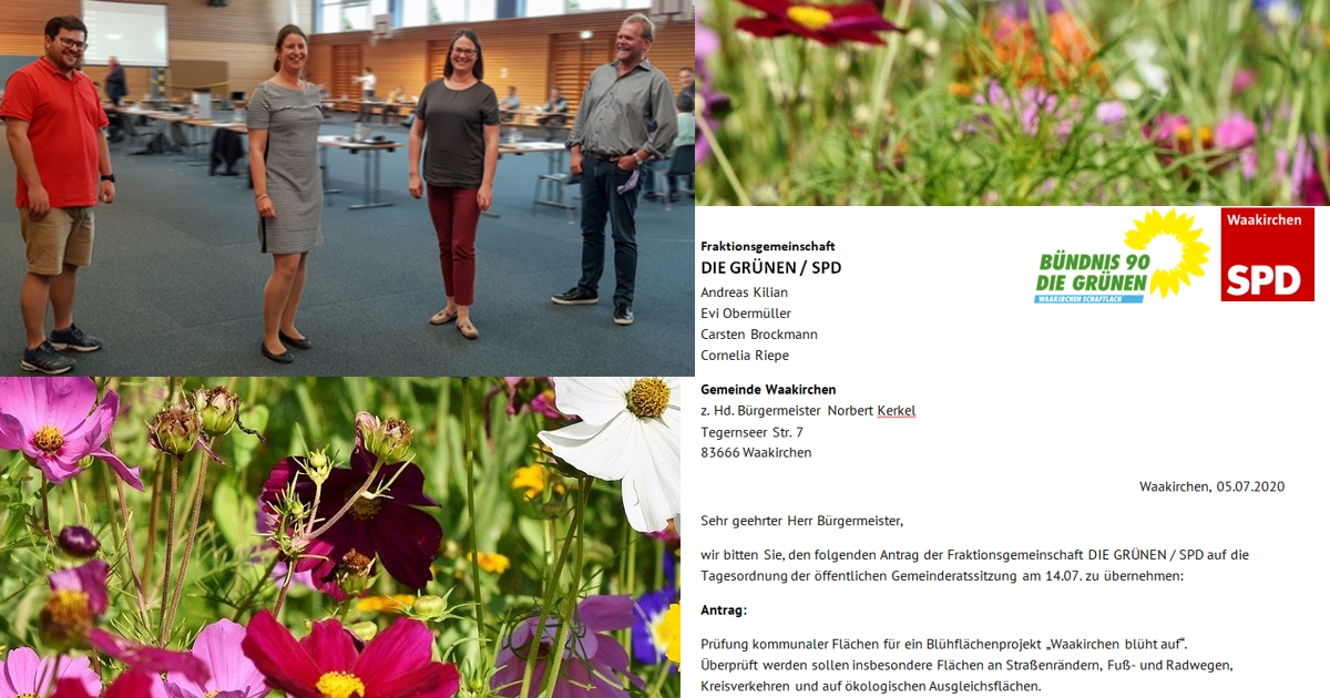 Erfolgreicher Grüner Antrag zu Blühflächen im Waakirchner Gemeinderat