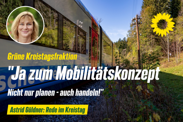 “Ja zum Mobilitätskonzept” – Redebeitrag von Astrid Güldner im Kreistag