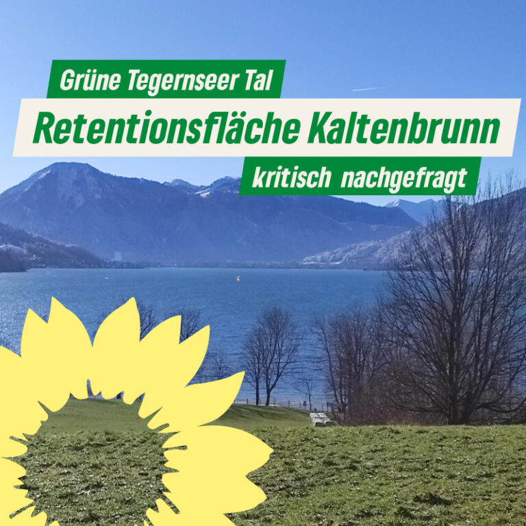 Kritisch nachgefragt: Retentionsfläche in Kaltenbrunn