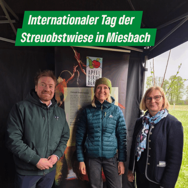 Internationaler Tag der Streuobstwiese in der Unteren Wies